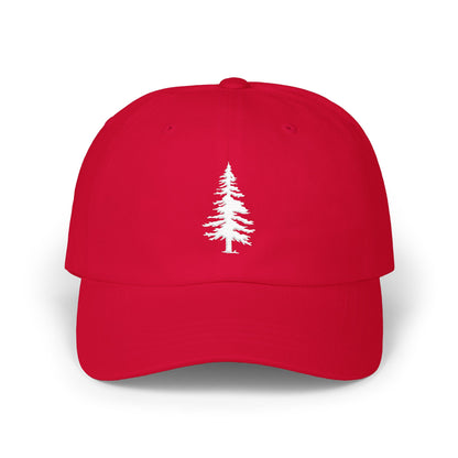 Pine Tree Cap